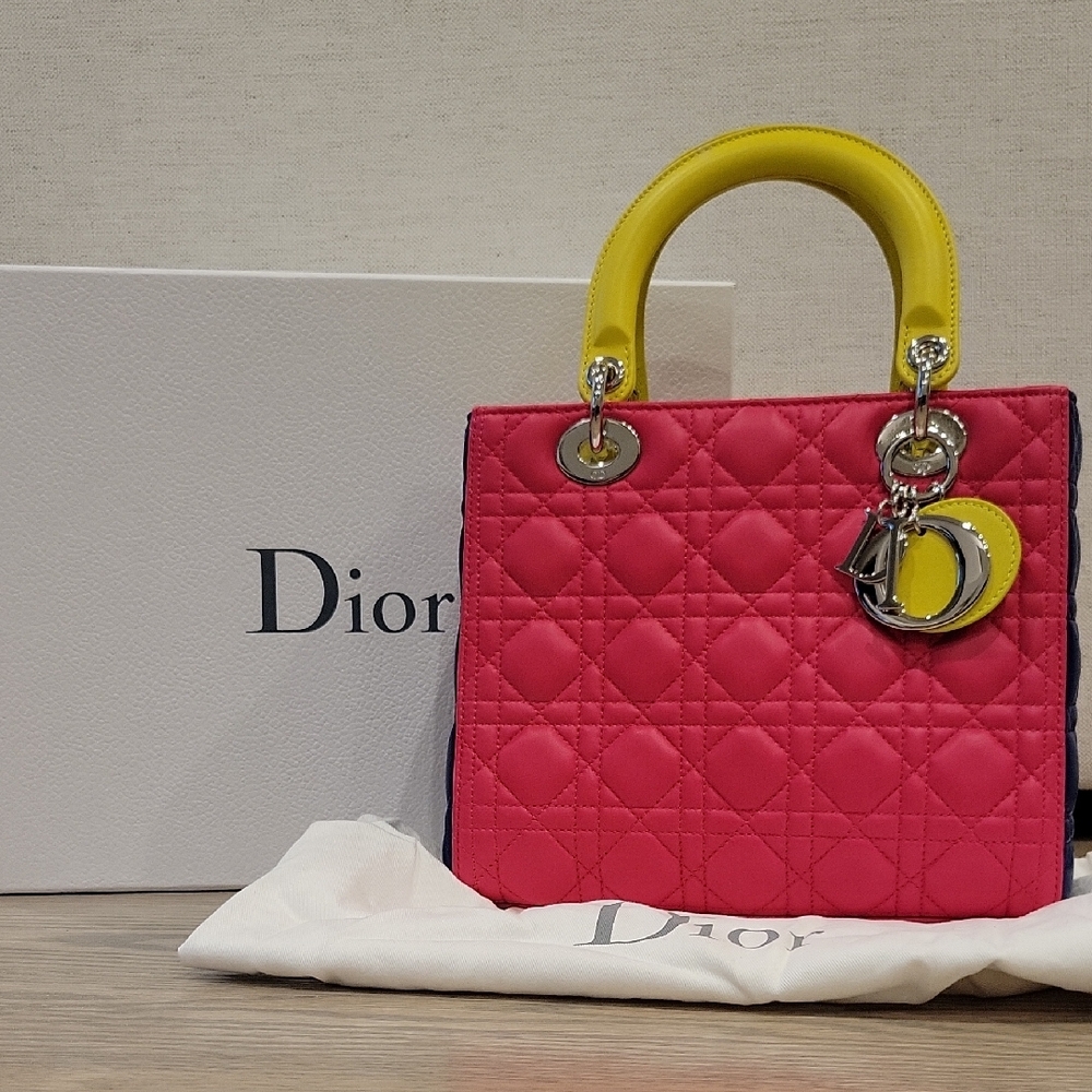 NWT Lady Dior Quilted Handbag